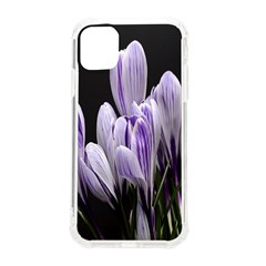 Crocus Flowers Purple Flowers Spring Nature Iphone 11 Tpu Uv Print Case by Ravend