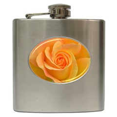 Flower Plant Rose Nature Garden Orange Macro Hip Flask (6 oz)