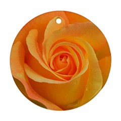 Flower Plant Rose Nature Garden Orange Macro Round Ornament (Two Sides)