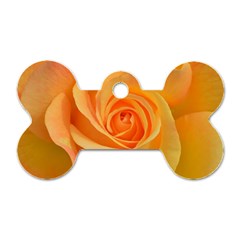 Flower Plant Rose Nature Garden Orange Macro Dog Tag Bone (One Side)