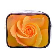 Flower Plant Rose Nature Garden Orange Macro Mini Toiletries Bag (one Side)