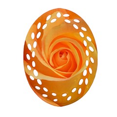 Flower Plant Rose Nature Garden Orange Macro Oval Filigree Ornament (Two Sides)