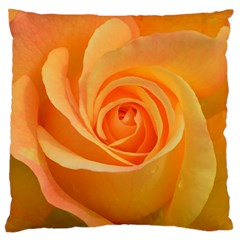 Flower Plant Rose Nature Garden Orange Macro Large Cushion Case (One Side)