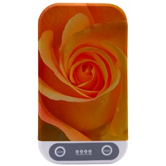 Flower Plant Rose Nature Garden Orange Macro Sterilizers