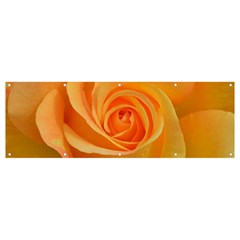 Flower Plant Rose Nature Garden Orange Macro Banner and Sign 12  x 4 