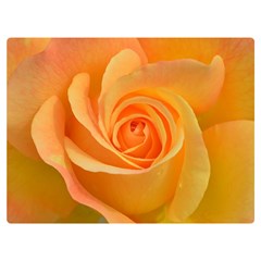 Flower Plant Rose Nature Garden Orange Macro One Side Premium Plush Fleece Blanket (Extra Small)