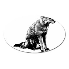 Foxy Lady Concept Illustration Oval Magnet by dflcprintsclothing