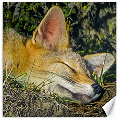 Fox Sleeping Closeup Photo Canvas 20  X 20  by dflcprintsclothing