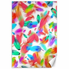 Feathers Pattern Background Colorful Plumage Canvas 20  X 30 