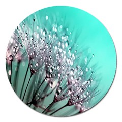 Dandelion Magnet 5  (round) by artworkshop