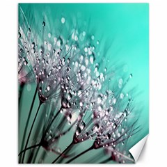 Dandelion Canvas 11  X 14  by artworkshop