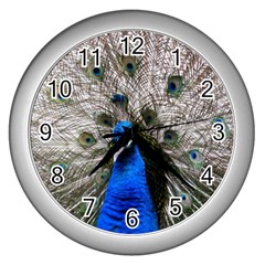 Peacock Bird Animal Feather Nature Colorful Wall Clock (silver)