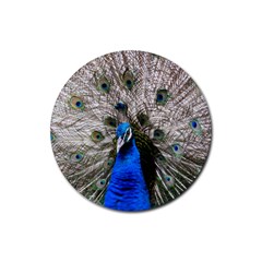 Peacock Bird Animal Feather Nature Colorful Rubber Coaster (round)