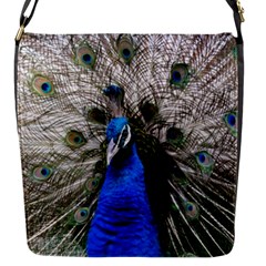 Peacock Bird Animal Feather Nature Colorful Flap Closure Messenger Bag (s)