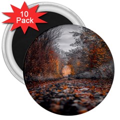 Breathe In Nature Background 3  Magnets (10 Pack) 