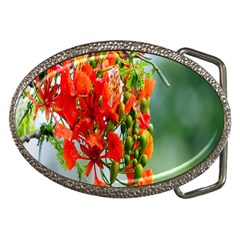 Gathering Sping Flowers Wallpapers Belt Buckles by artworkshop