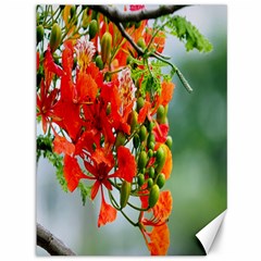 Gathering Sping Flowers Wallpapers Canvas 36  X 48  by artworkshop