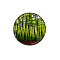 Green Forest Jungle Trees Nature Sunny Hat Clip Ball Marker (4 Pack) by Ravend