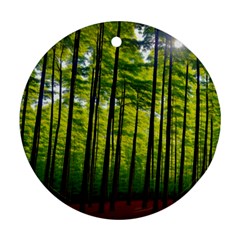 Green Forest Jungle Trees Nature Sunny Round Ornament (two Sides) by Ravend