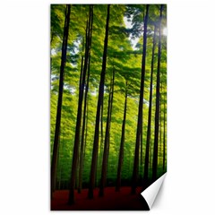 Green Forest Jungle Trees Nature Sunny Canvas 40  X 72 