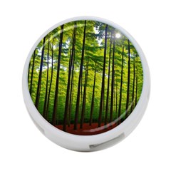 Green Forest Jungle Trees Nature Sunny 4-port Usb Hub (one Side) by Ravend