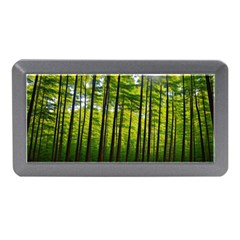 Green Forest Jungle Trees Nature Sunny Memory Card Reader (mini)