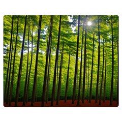 Green Forest Jungle Trees Nature Sunny Premium Plush Fleece Blanket (medium) by Ravend