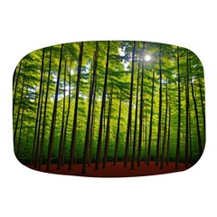 Green Forest Jungle Trees Nature Sunny Mini Square Pill Box by Ravend