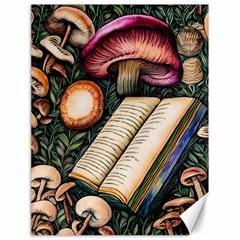 Conjure Mushroom Charm Spell Mojo Canvas 18  x 24 