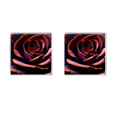 Purple Flower Rose Flower Black Background Cufflinks (square) by Ravend