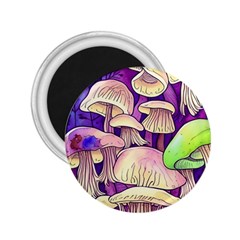 Glamourous Mushrooms For Enchantment And Spellwork 2 25  Magnets