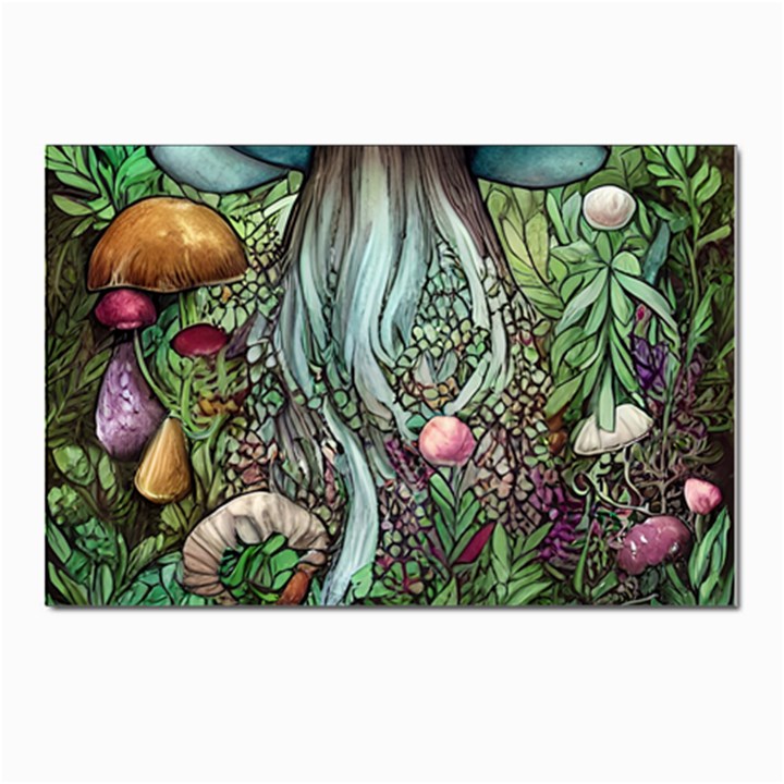 Craft Mushroom Postcards 5  x 7  (Pkg of 10)