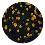 Bloomed Yellow Petaled Flower Plants Magnet 5  (Round) Front