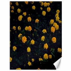 Bloomed Yellow Petaled Flower Plants Canvas 36  X 48  by artworkshop