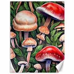 Rustic Mushroom Canvas 36  X 48  by GardenOfOphir