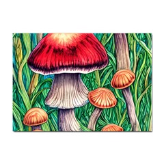 Woodsy Foraging Garden Sticker A4 (100 Pack)