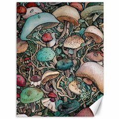 Tiny Forest Mushrooms Canvas 36  X 48  by GardenOfOphir