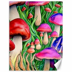 Mushroom Canvas 12  X 16  by GardenOfOphir