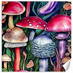 Foraging Mushroom Canvas 12  x 12 