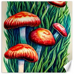 Enchanted Forest Mushroom Canvas 12  x 12 