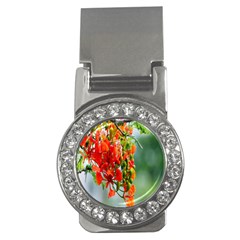 Gathering Sping Flowers  Money Clips (CZ) 