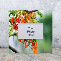 Gathering Sping Flowers  White Box Photo Frame 4  X 6  by artworkshop