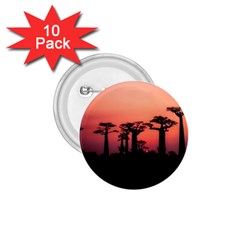 Baobabs Trees Silhouette Landscape Sunset Dusk 1 75  Buttons (10 Pack) by Jancukart