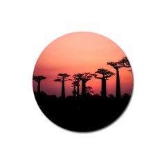 Baobabs Trees Silhouette Landscape Sunset Dusk Magnet 3  (round) by Jancukart