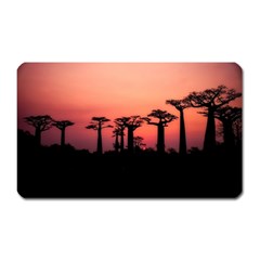 Baobabs Trees Silhouette Landscape Sunset Dusk Magnet (rectangular) by Jancukart