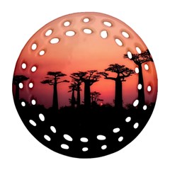 Baobabs Trees Silhouette Landscape Sunset Dusk Ornament (round Filigree)