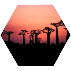 Baobabs Trees Silhouette Landscape Sunset Dusk Wooden Puzzle Hexagon by Jancukart