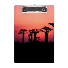 Baobabs Trees Silhouette Landscape Sunset Dusk A5 Acrylic Clipboard