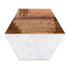 Tropical Winter Tropical Winter Landscape Marble Wood Coaster (hexagon)  by Pakemis