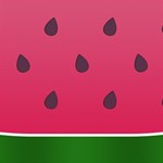 Watermelon Fruit Summer Red Fresh Food Healthy Play Mat (Rectangle) Front